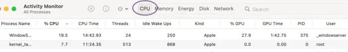 The Mac Activity Monitor CPU tab