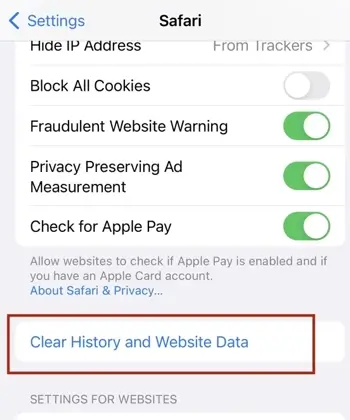 Next, click Clear History and Website Data.