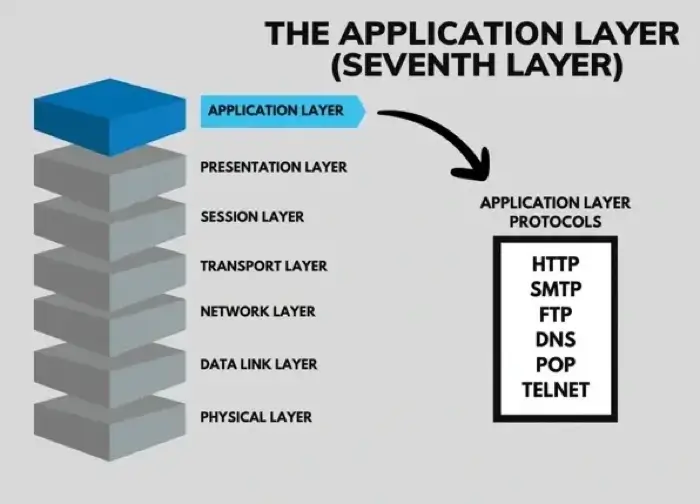 A graphic showing the location of the application layer in the OSI model.