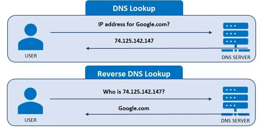 dns lookup and reverse dns lookup examples