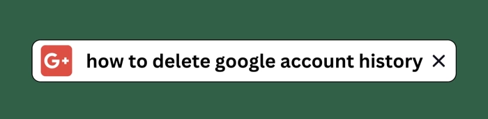 A Google search for "how to delete google account history"