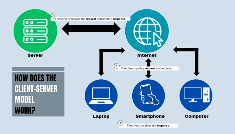 A chart explaining the flow of data in the client-server model architecture