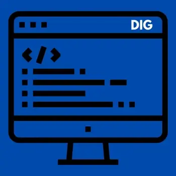A graphic showing the dig command on a computer