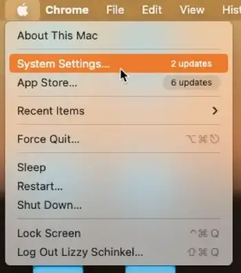 Open the System Settings in the Apple menu.