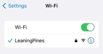 Next, go to your WiFi section in your iPhone's settings.
