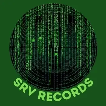 SRV records are essential for server interactions.