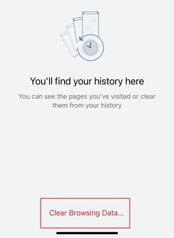 Click Clear Browsing Data.